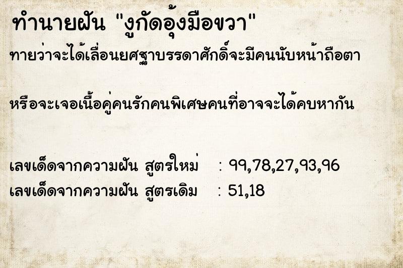 ทำนายฝันงูกัดอุ้งมือขวา ทำนายฝันทำนายฝันงูกัดอุ้งมือขวา