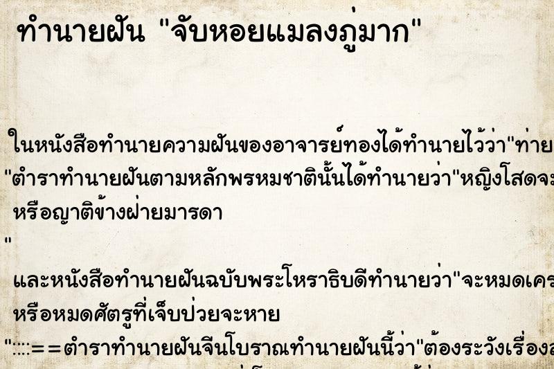 ทำนายฝัน จับหอยแมลงภู่มาก ทำนายฝัน จับหอยแมลงภู่มาก