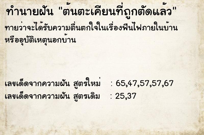 ทำนายฝัน ต้นตะเคียนที่ถูกตัดแล้ว ทำนายฝัน ต้นตะเคียนที่ถูกตัดแล้ว