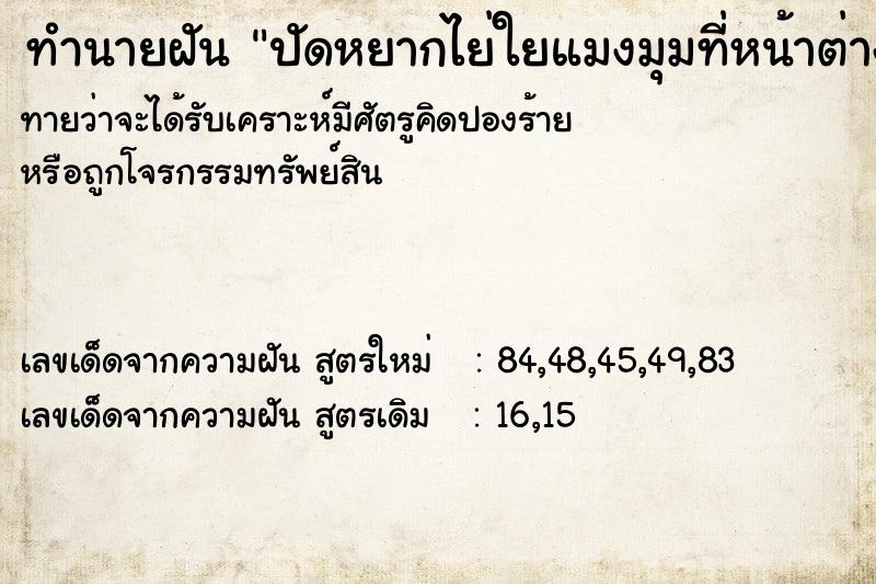ทำนายฝันทำนายฝันปัดหยากไย่ใยแมงมุมที่หน้าต่างบ้าน