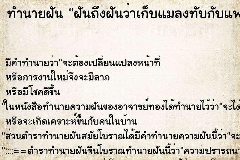 ทำนายฝันทำนายฝันฝันถึงฝันว่าเก็บแมลงทับกับแฟน