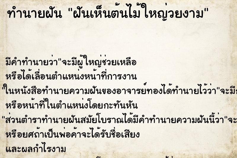 ทำนายฝันฝันเห็นต้นไม้ใหญ่วยงาม ทำนายฝันทำนายฝันฝันเห็นต้นไม้ใหญ่วยงาม