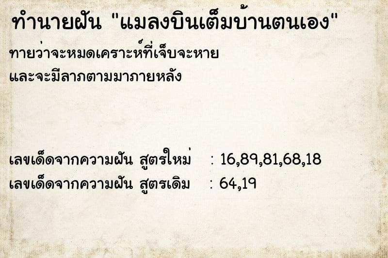 ทำนายฝันทำนายฝันแมลงบินเต็มบ้านตนเอง
