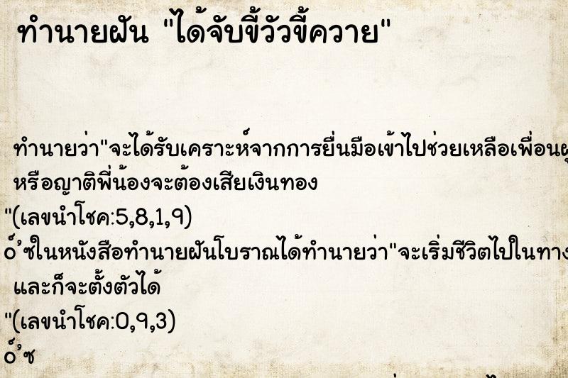 ทำนายฝัน ได้จับขี้วัวขี้ควาย ทำนายฝัน ได้จับขี้วัวขี้ควาย