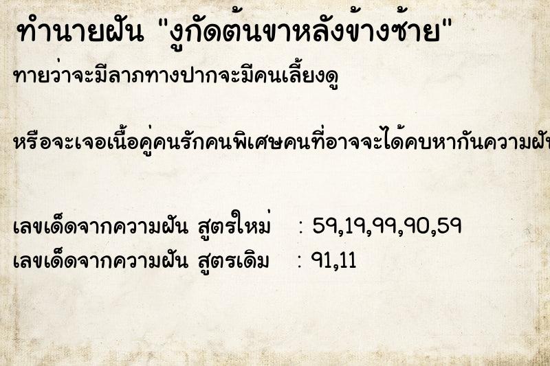 ทำนายฝันงูกัดต้นขาหลังข้างซ้าย ทำนายฝันทำนายฝันงูกัดต้นขาหลังข้างซ้าย