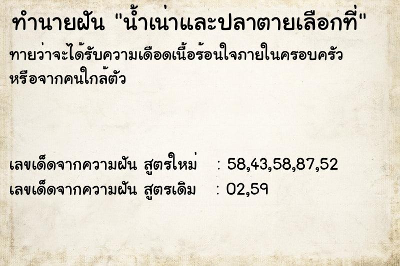 ทำนายฝันน้ำเน่าและปลาตายเลือกที่ ทำนายฝันทำนายฝันน้ำเน่าและปลาตายเลือกที่