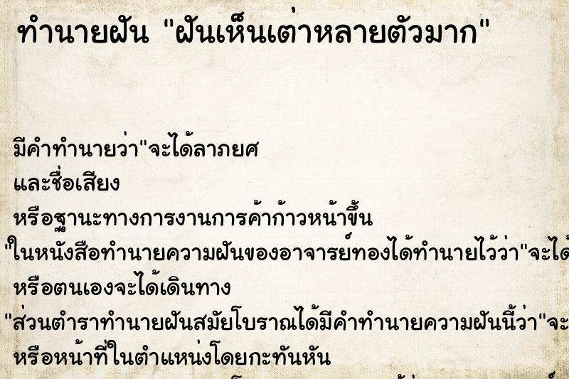 ทำนายฝันทำนายฝันฝันเห็นเต่าหลายตัวมาก