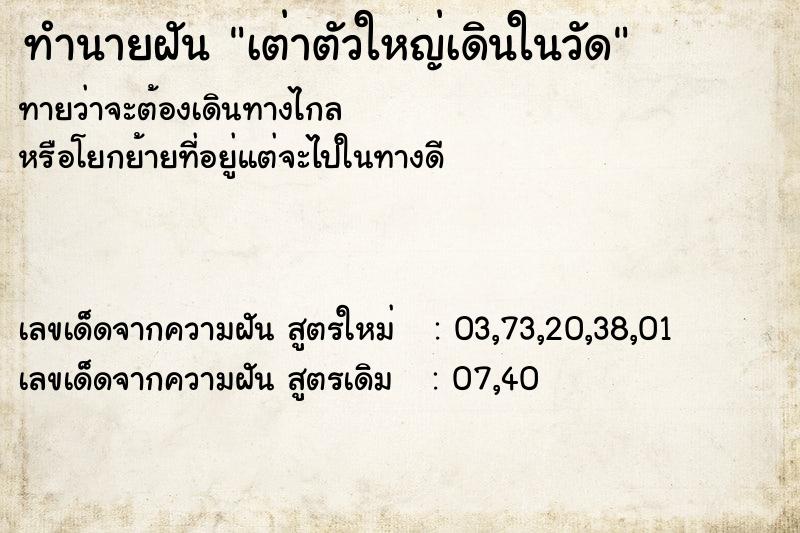 ทำนายฝันทำนายฝันเต่าตัวใหญ่เดินในวัด