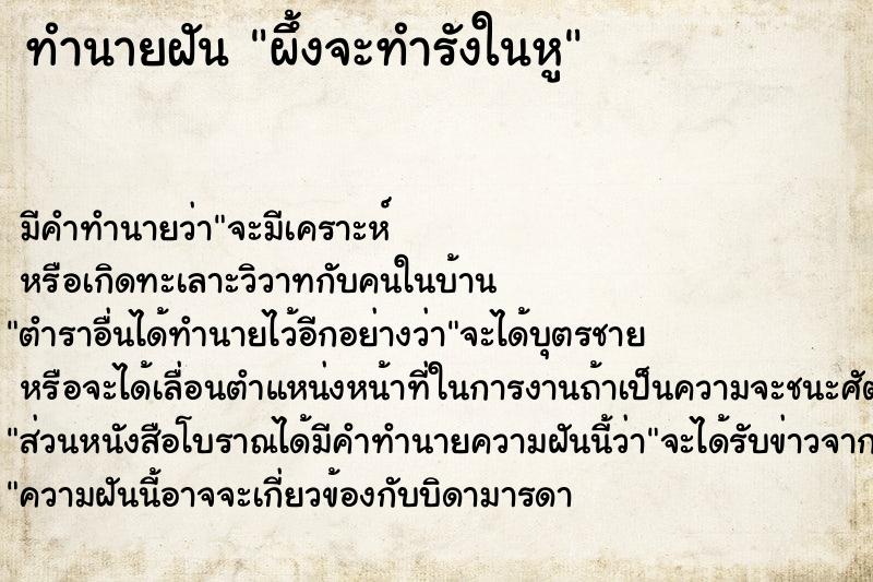 ทำนายฝัน ผึ้งจะทำรังในหู ตำราโบราณ แม่นที่สุดในโลก