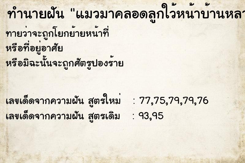 ทำนายฝันแมวมาคลอดลูกใว้หน้าบ้านหลายตัว ทำนายฝันทำนายฝันแมวมาคลอดลูกใว้หน้าบ้านหลายตัว