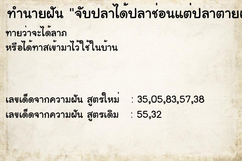 ทำนายฝันจับปลาได้ปลาช่อนแต่ปลาตายและเน่า ทำนายฝันทำนายฝันจับปลาได้ปลาช่อนแต่ปลาตายและเน่า