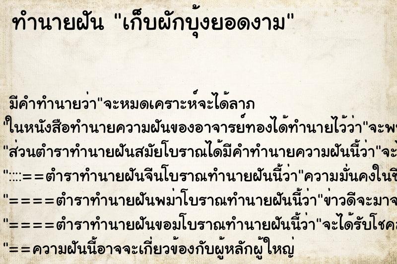 ทำนายฝัน เก็บผักบุ้งยอดงาม ทำนายฝัน เก็บผักบุ้งยอดงาม