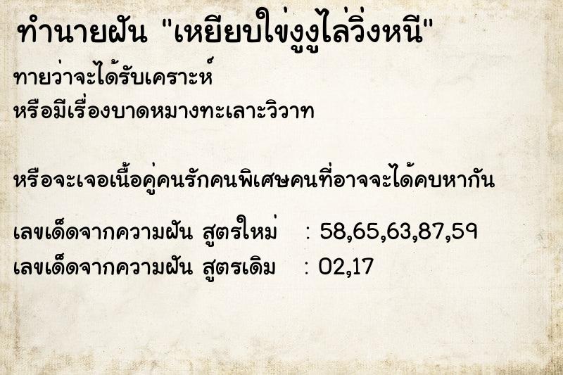 ทำนายฝันเหยียบใข่งูงูไล่วิ่งหนี ทำนายฝันทำนายฝันเหยียบใข่งูงูไล่วิ่งหนี