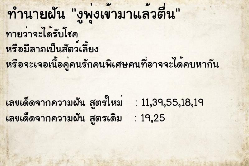 ทำนายฝันงูพุ่งเข้ามาแล้วตื่น ทำนายฝันทำนายฝันงูพุ่งเข้ามาแล้วตื่น