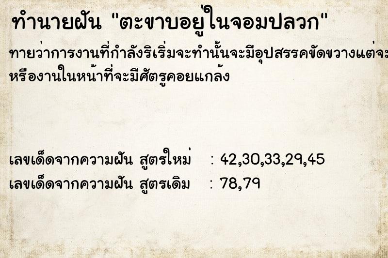 ทำนายฝัน ตะขาบอยู่ในจอมปลวก ทำนายฝัน ตะขาบอยู่ในจอมปลวก
