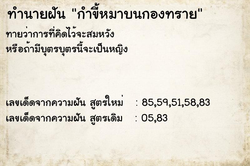 ทำนายฝันกำขี้หมาบนกองทราย ทำนายฝันทำนายฝันกำขี้หมาบนกองทราย