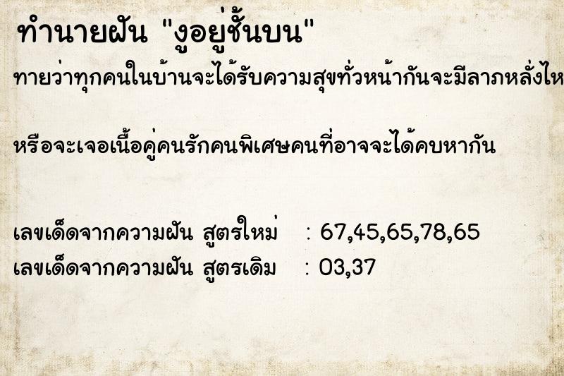ทำนายฝันงูอยู่ชั้นบน ทำนายฝันทำนายฝันงูอยู่ชั้นบน