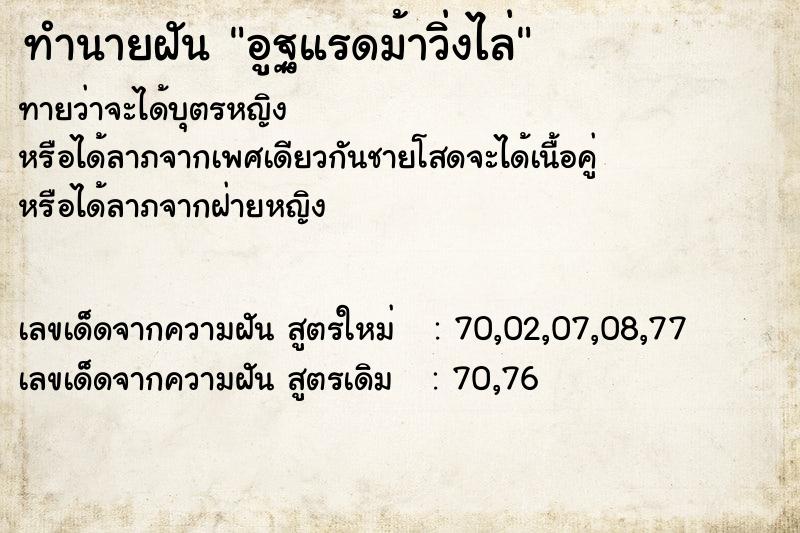 ทำนายฝันอูฐแรดม้าวิ่งไล่ ทำนายฝันทำนายฝันอูฐแรดม้าวิ่งไล่
