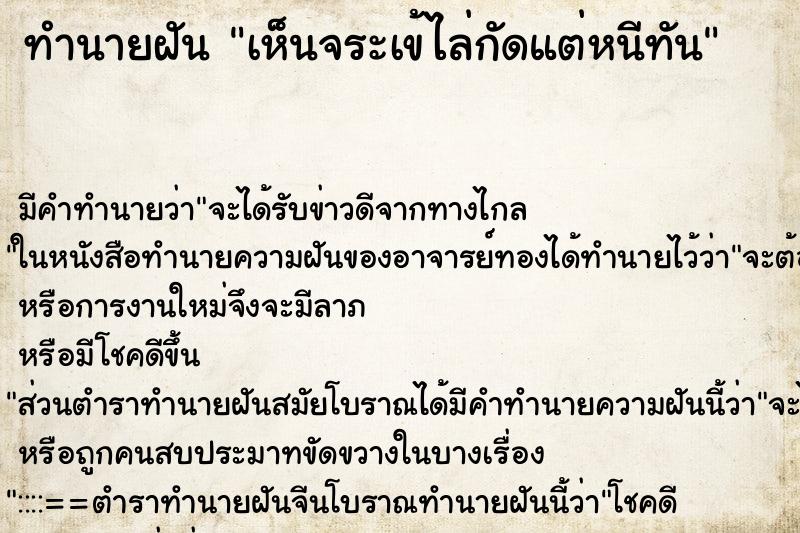 ทำนายฝัน เห็นจระเข้ไล่กัดแต่หนีทัน ทำนายฝัน เห็นจระเข้ไล่กัดแต่หนีทัน