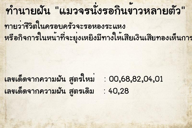 ทำนายฝันแมวจรนั่งรอกินข้าวหลายตัว ทำนายฝันทำนายฝันแมวจรนั่งรอกินข้าวหลายตัว