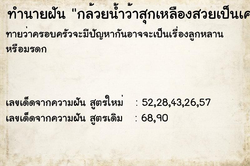 ทำนายฝัน กล้วยน้ำว้าสุกเหลืองสวยเป็นเครือ