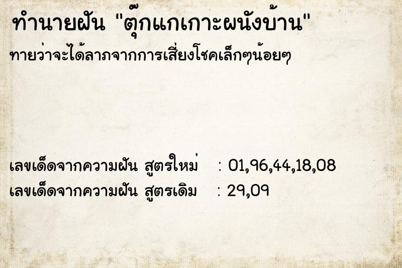 ทำนายฝันตุ๊กแกเกาะผนังบ้าน ทำนายฝันทำนายฝันตุ๊กแกเกาะผนังบ้าน