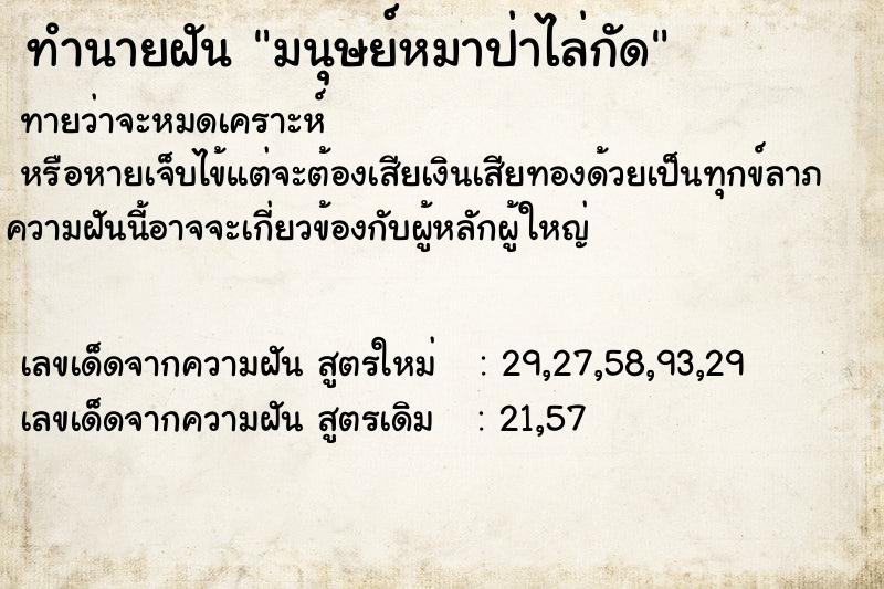 ทำนายฝันมนุษย์หมาป่าไล่กัด ทำนายฝันทำนายฝันมนุษย์หมาป่าไล่กัด