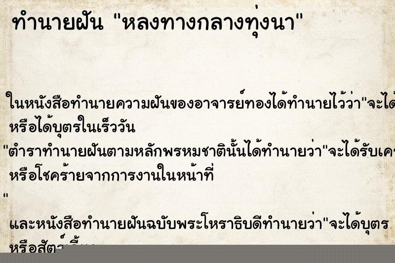 ทำนายฝันทำนายฝันหลงทางกลางทุ่งนา