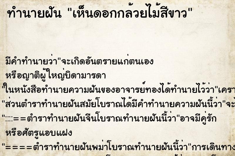 ทำนายฝัน เห็นดอกกล้วยไม้สีขาว ทำนายฝัน เห็นดอกกล้วยไม้สีขาว