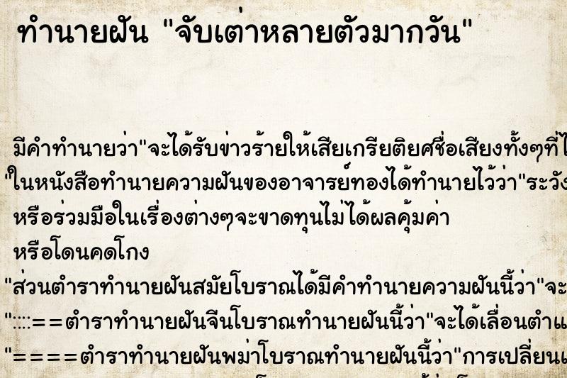 ทำนายฝันจับเต่าหลายตัวมากวัน ทำนายฝันทำนายฝันจับเต่าหลายตัวมากวัน