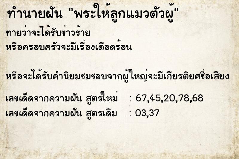 ทำนายฝันทำนายฝันพระให้ลูกแมวตัวผู้