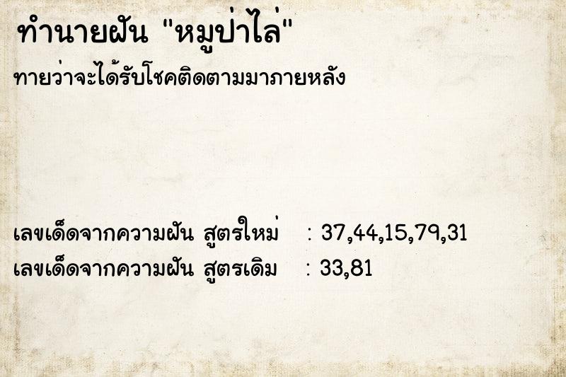 ทำนายฝันหมูป่าไล่ ทำนายฝันทำนายฝันหมูป่าไล่