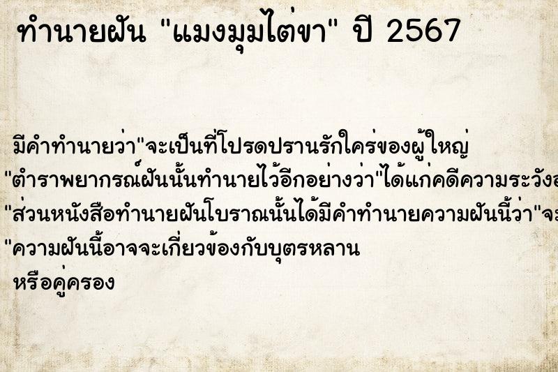 ทำนายฝัน แมงมุมไต่ขา ทำนายฝัน แมงมุมไต่ขา