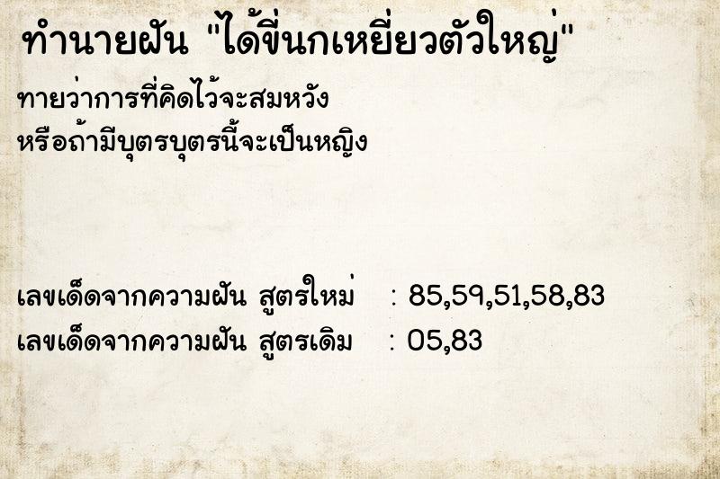 ทำนายฝัน ได้ขี่นกเหยี่ยวตัวใหญ่ ทำนายฝัน ได้ขี่นกเหยี่ยวตัวใหญ่