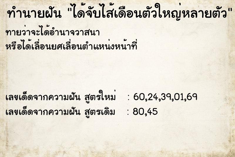 ทำนายฝันทำนายฝันได้จับไส้เดือนตัวใหญ่หลายตัว