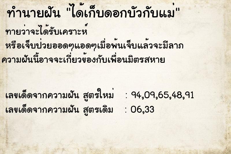ทำนายฝันได้เก็บดอกบัวกับแม่ ทำนายฝันทำนายฝันได้เก็บดอกบัวกับแม่