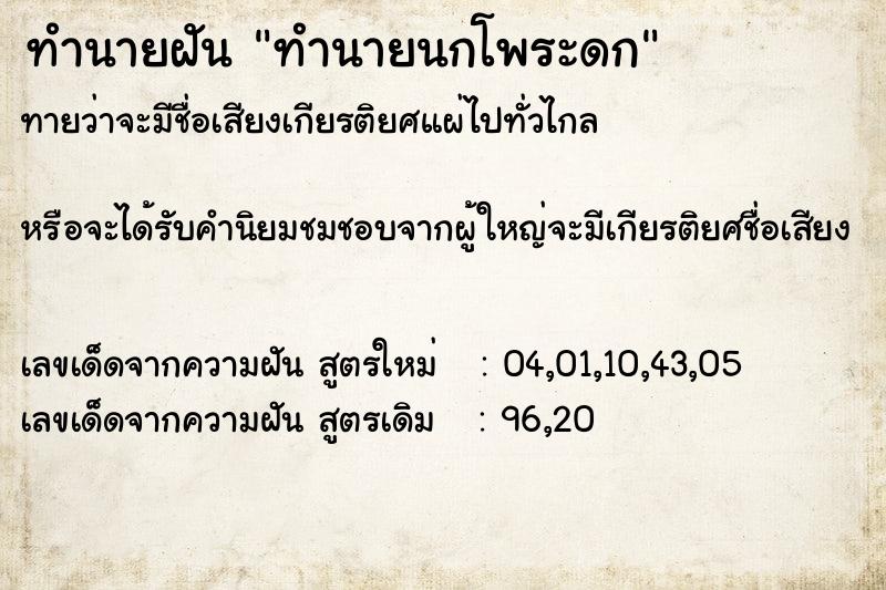 ทำนายฝันทำนายนกโพระดก ทำนายฝันทำนายฝันทำนายนกโพระดก