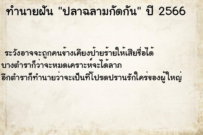 ทำนายฝัน ปลาฉลามกัดกัน ทำนายฝัน ปลาฉลามกัดกัน