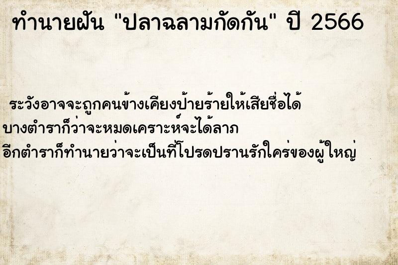 ทำนายฝัน ปลาฉลามกัดกัน ตำราโบราณ แม่นที่สุดในโลก