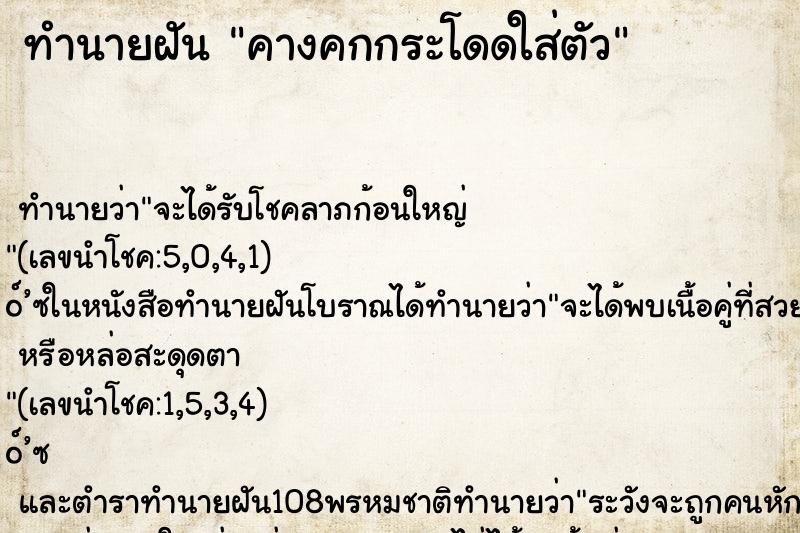 ทำนายฝัน คางคกกระโดดใส่ตัว ทำนายฝัน คางคกกระโดดใส่ตัว