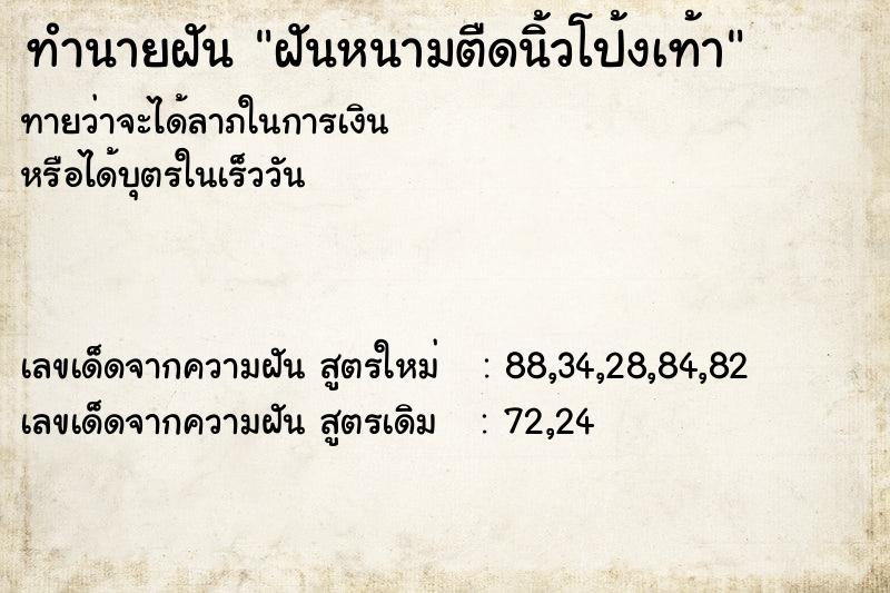 ทำนายฝันฝันหนามตืดนิ้วโป้งเท้า ทำนายฝันทำนายฝันฝันหนามตืดนิ้วโป้งเท้า