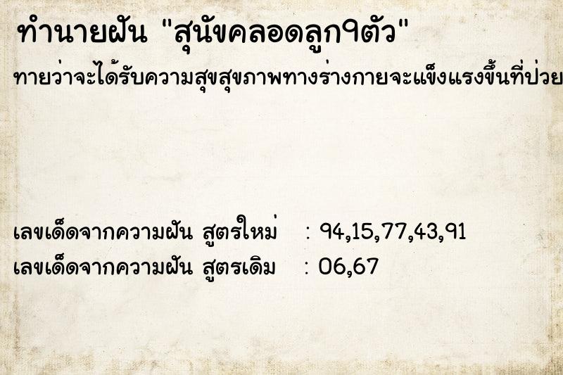 ทำนายฝันสุนัขคลอดลูก9ตัว ทำนายฝันทำนายฝันสุนัขคลอดลูก9ตัว