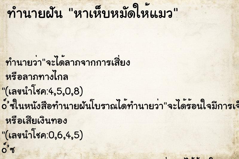 ทำนายฝัน หาเห็บหมัดให้แมว