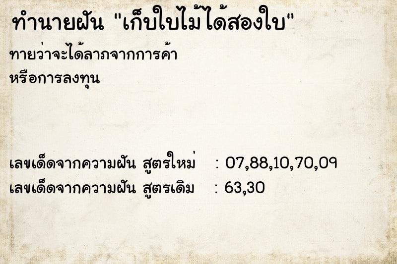 ทำนายฝันทำนายฝันเก็บใบไม้ได้สองใบ