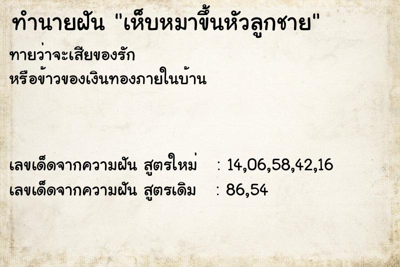 ทำนายฝันทำนายฝันเห็บหมาขึ้นหัวลูกชาย
