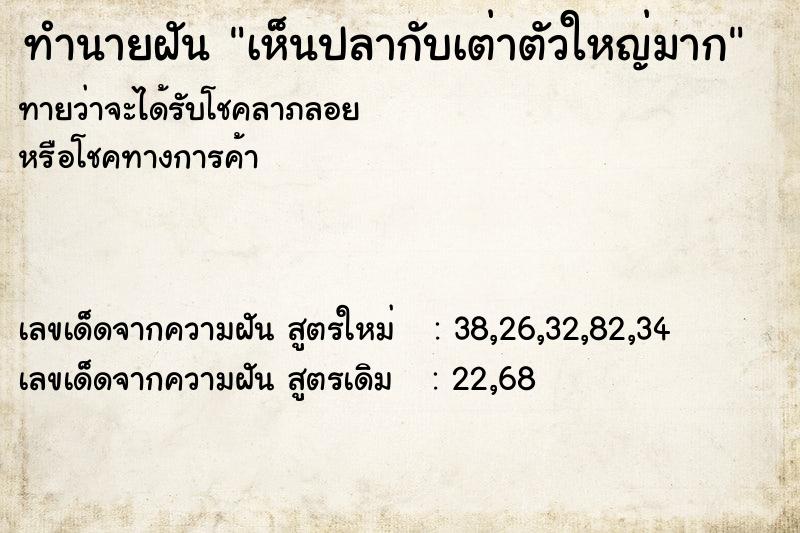 ทำนายฝัน75b3f36fbe8a88c7e4c8547d7cdfeb07เห็นปลากับเต่าตัวใหญ่มาก ทำนายฝันทำนายฝัน75b3f36fbe8a88c7e4c8547d7cdfeb07เห็นปลากับเต่าตัวใหญ่มาก