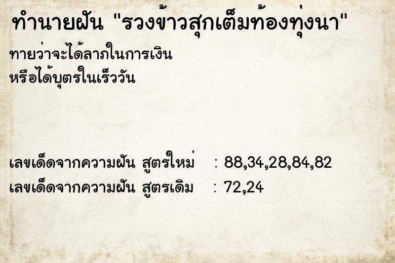 ทำนายฝัน รวงข้าวสุกเต็มท้องทุ่งนา ทำนายฝัน รวงข้าวสุกเต็มท้องทุ่งนา