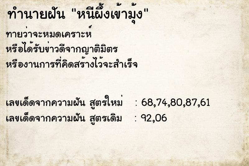 ทำนายฝันหนีผึ้งเข้ามุ้ง ทำนายฝันทำนายฝันหนีผึ้งเข้ามุ้ง
