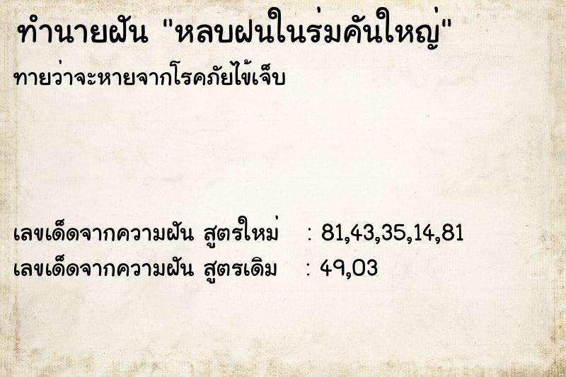 ทำนายฝันหลบฝนในร่มคันใหญ่ ทำนายฝันทำนายฝันหลบฝนในร่มคันใหญ่