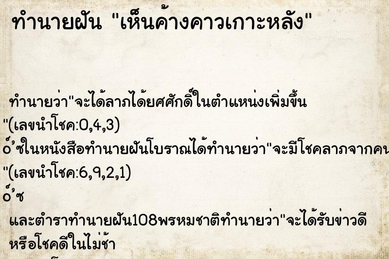 ทำนายฝันเห็นค้างคาวเกาะหลัง ทำนายฝันทำนายฝันเห็นค้างคาวเกาะหลัง